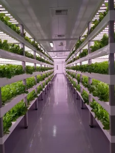 verticalfarm